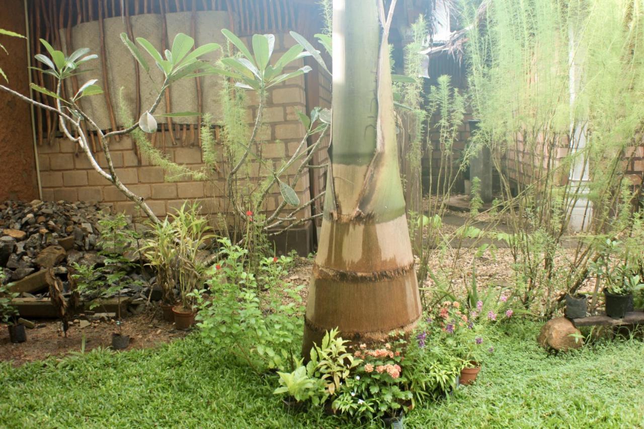 The Mango Leaf Hotel Matara Exterior foto